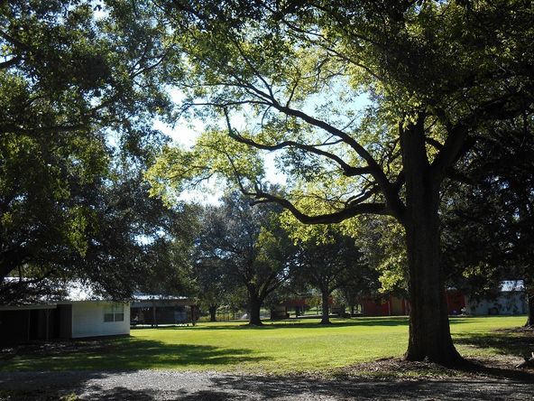 13505 Junius Rd, Abbeville, LA 70510